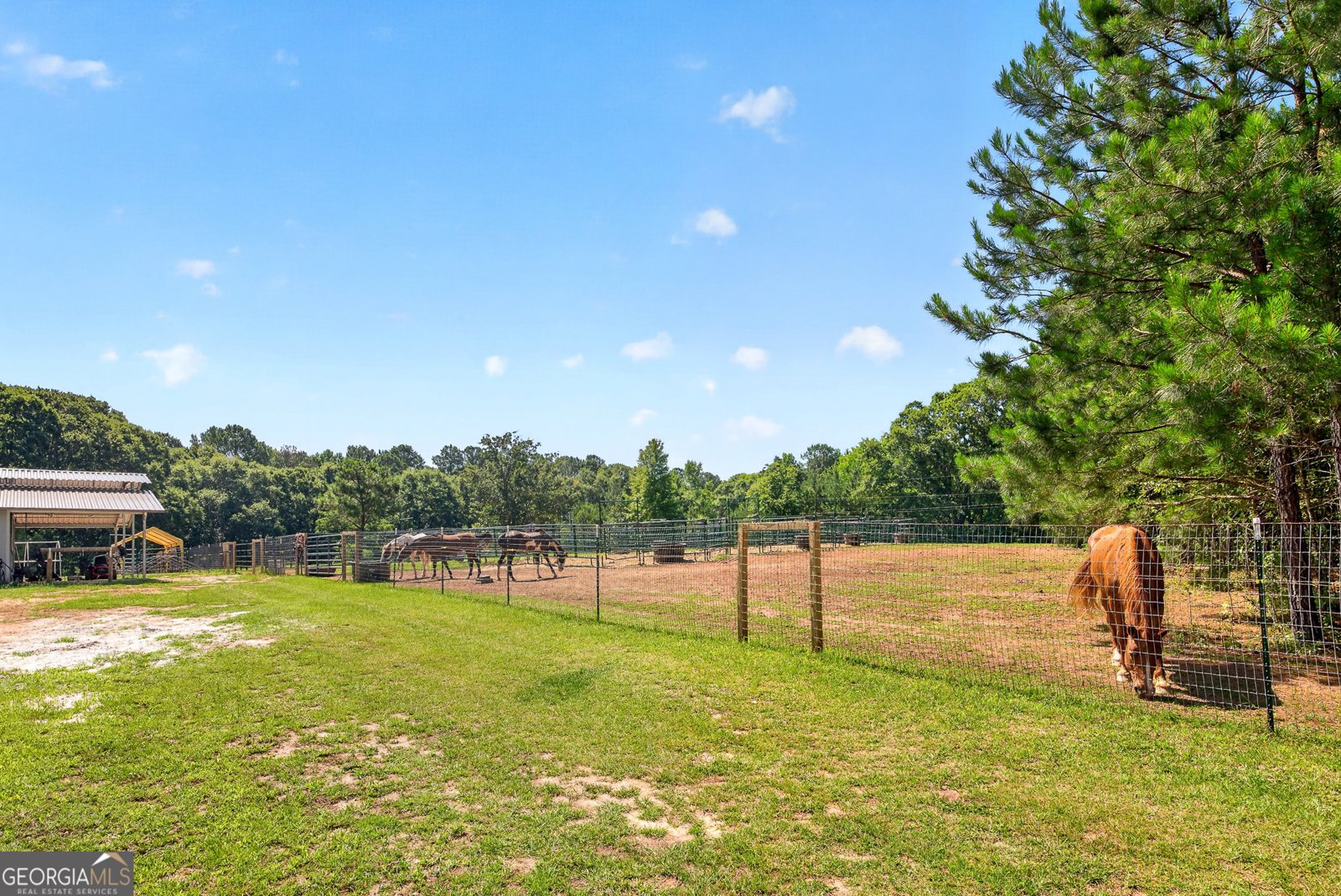 289 Maple Drive Williamson - Photo 21