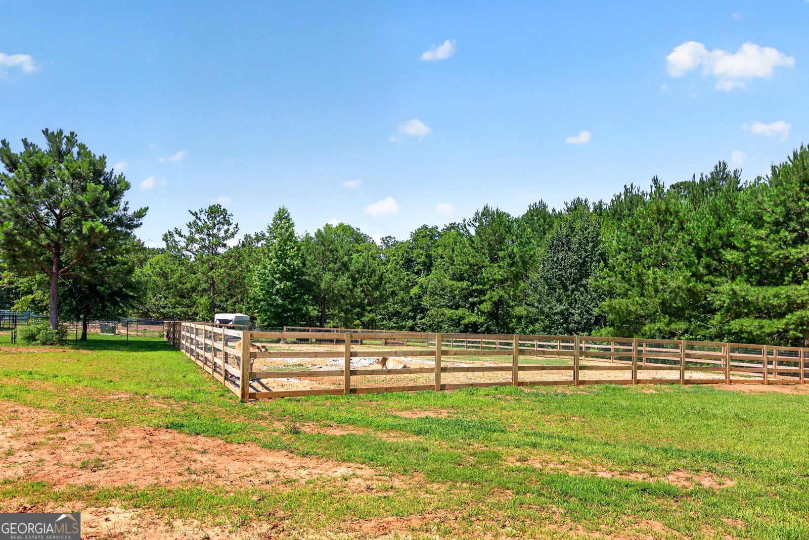 289 Maple Drive Williamson - Photo 30