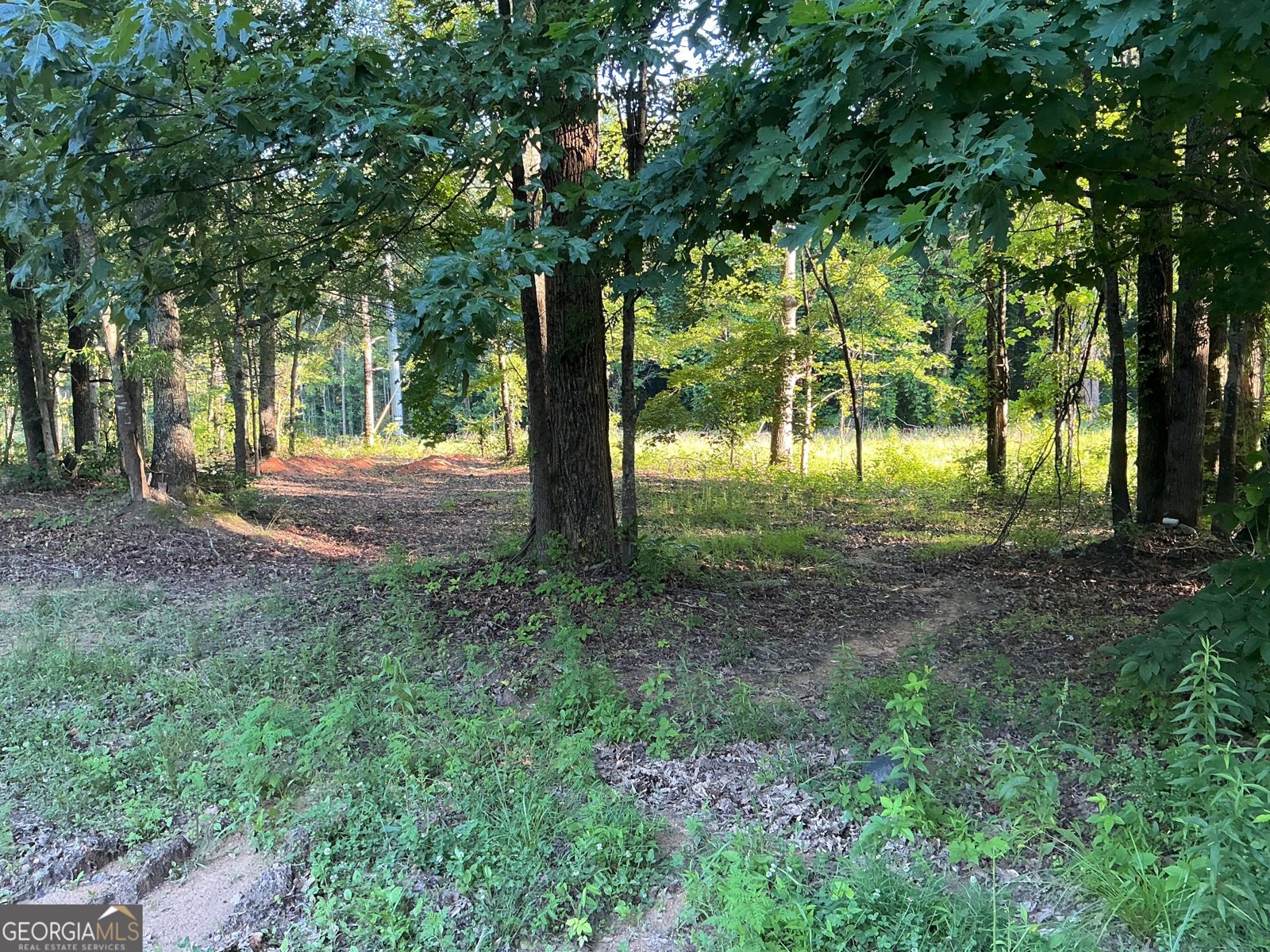 703 Central High Road Carrollton - Photo 13