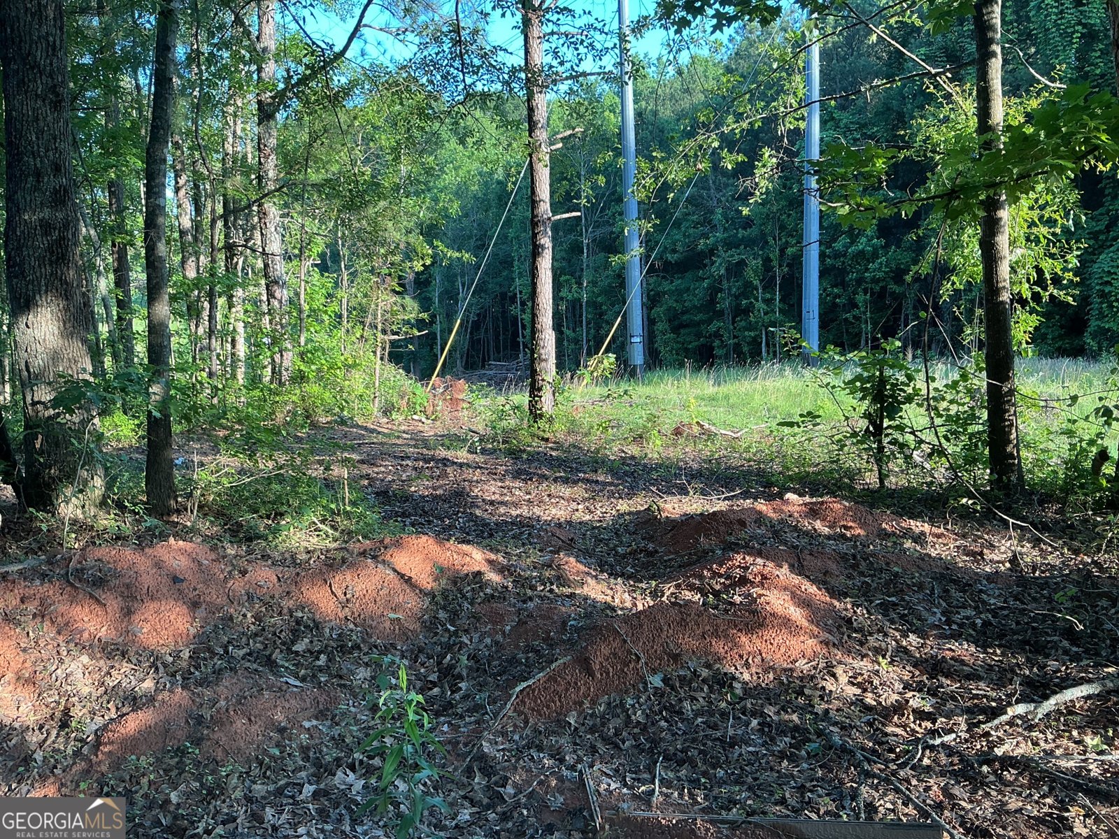 703 Central High Road Carrollton - Photo 14