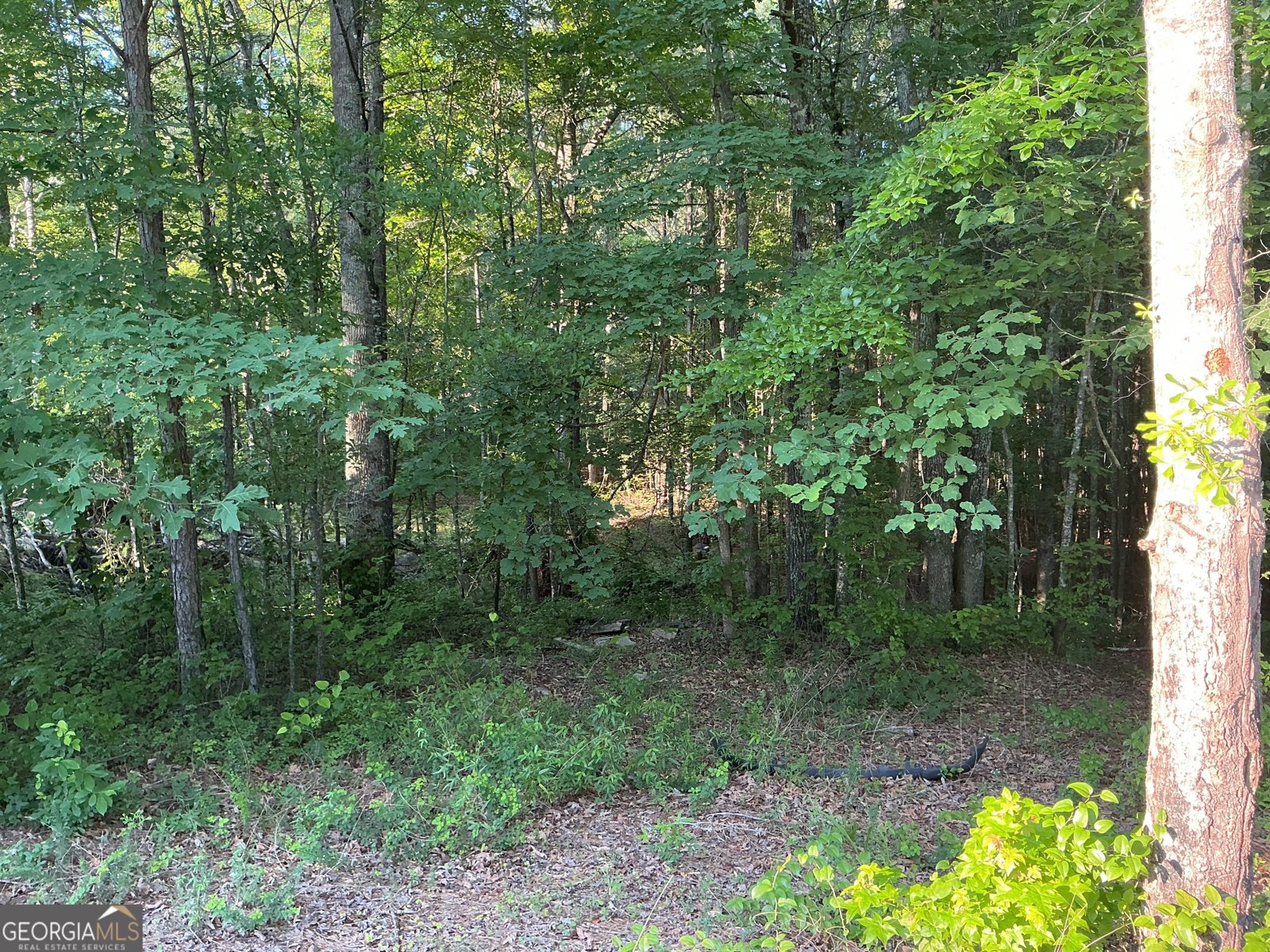 703 Central High Road Carrollton - Photo 26