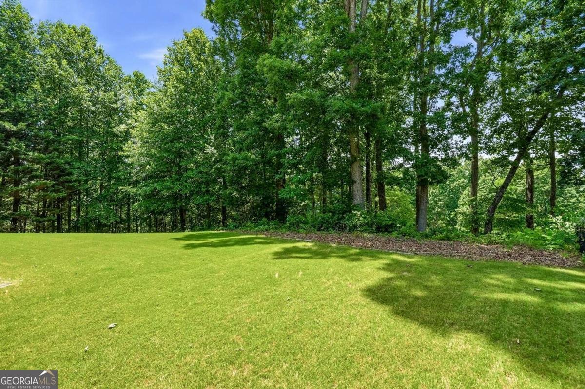7080 Summit Ridge Cumming - Photo 40