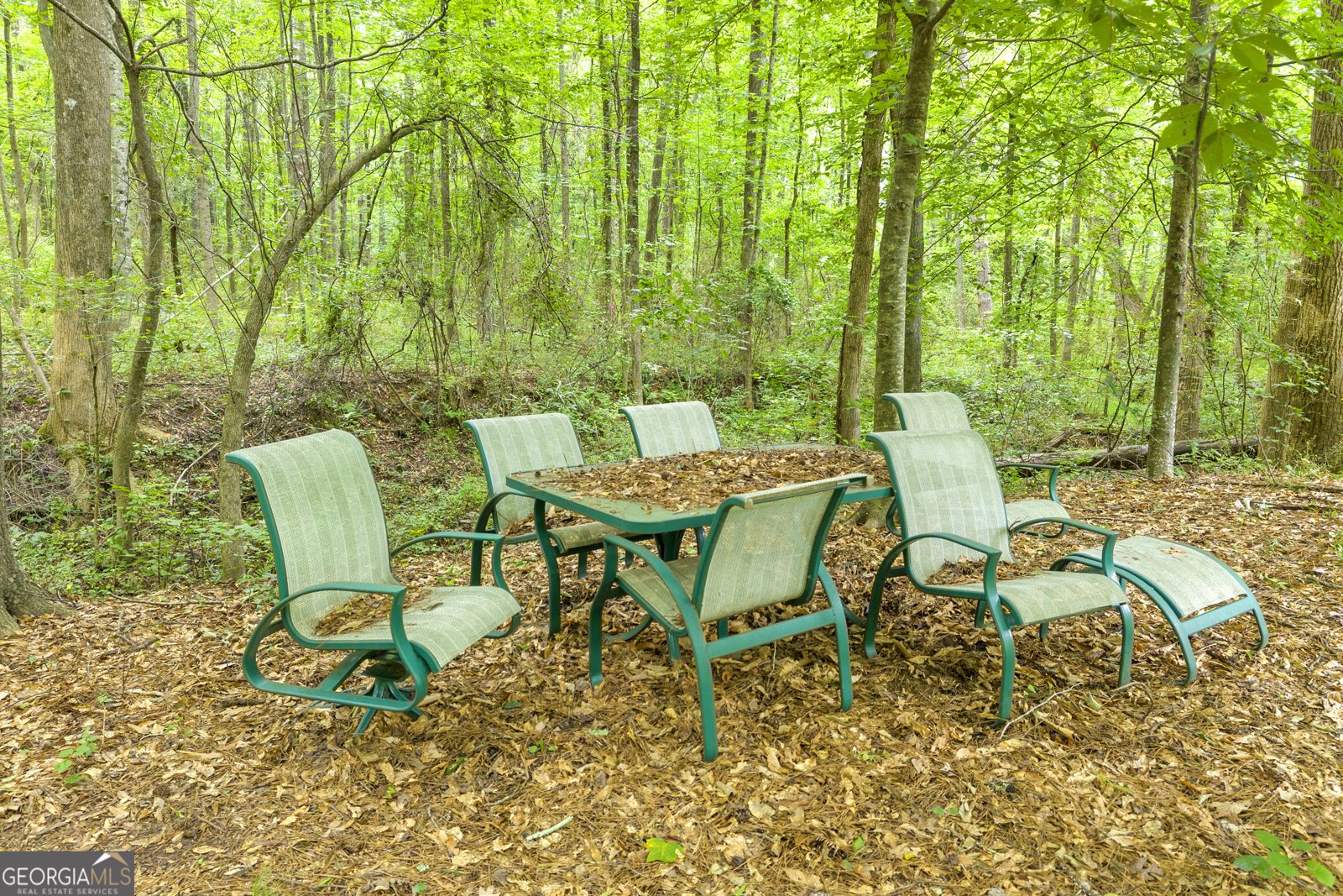 587 J B Owens Road Bethlehem - Photo 14