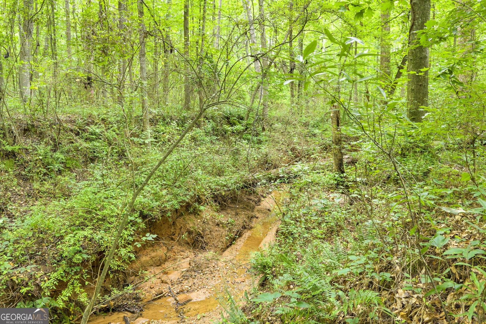 587 J B Owens Road Bethlehem - Photo 15