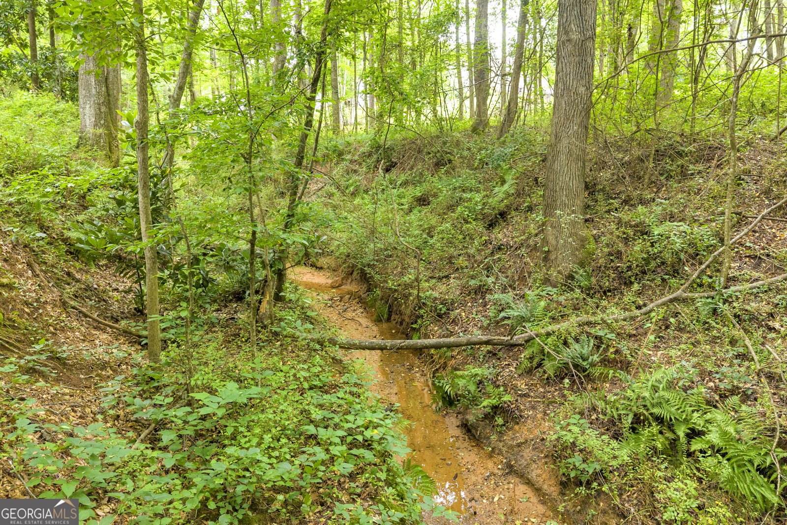 587 J B Owens Road Bethlehem - Photo 16