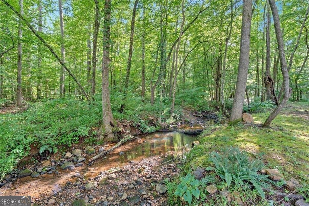 51 Meadow Spring Court Temple - Photo 12