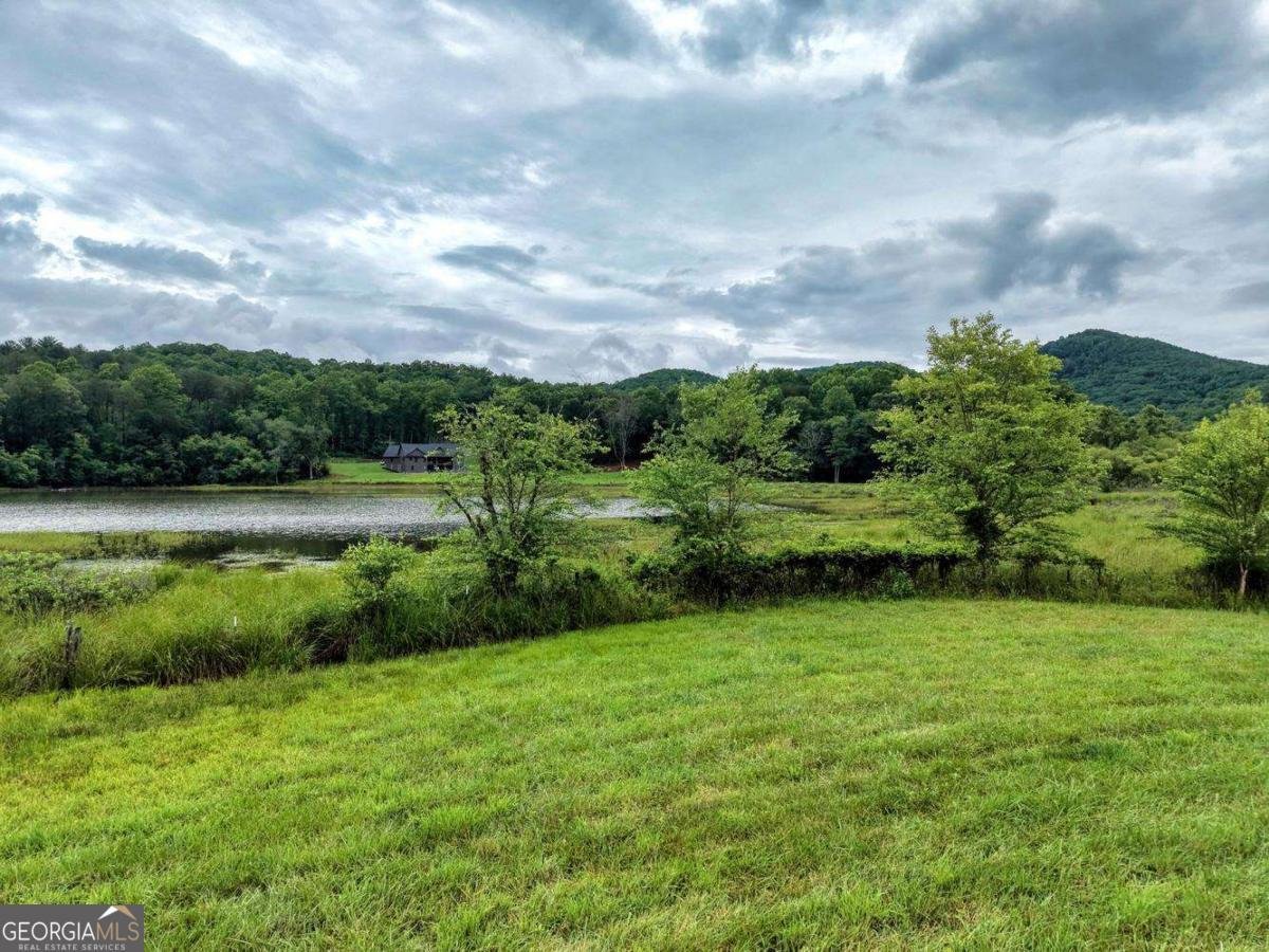 838 Tay Walk Way Hiawassee - Photo 62