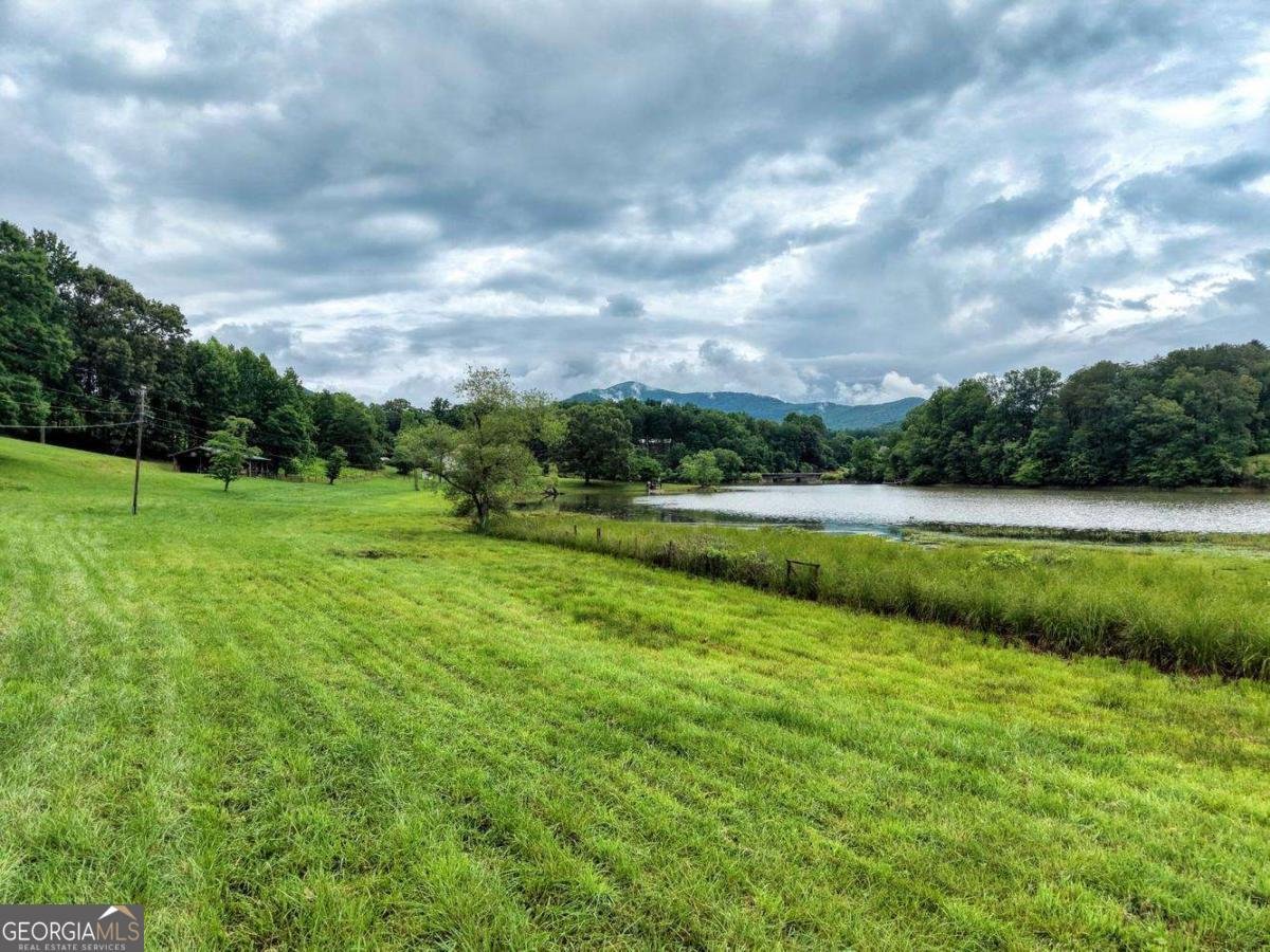 838 Tay Walk Way Hiawassee - Photo 63