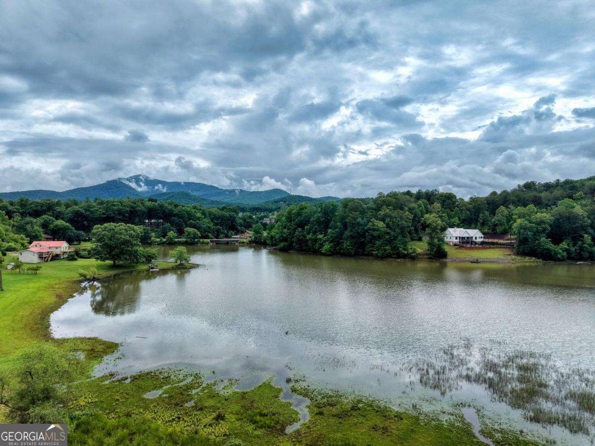 838 Tay Walk Way Hiawassee - Photo 64