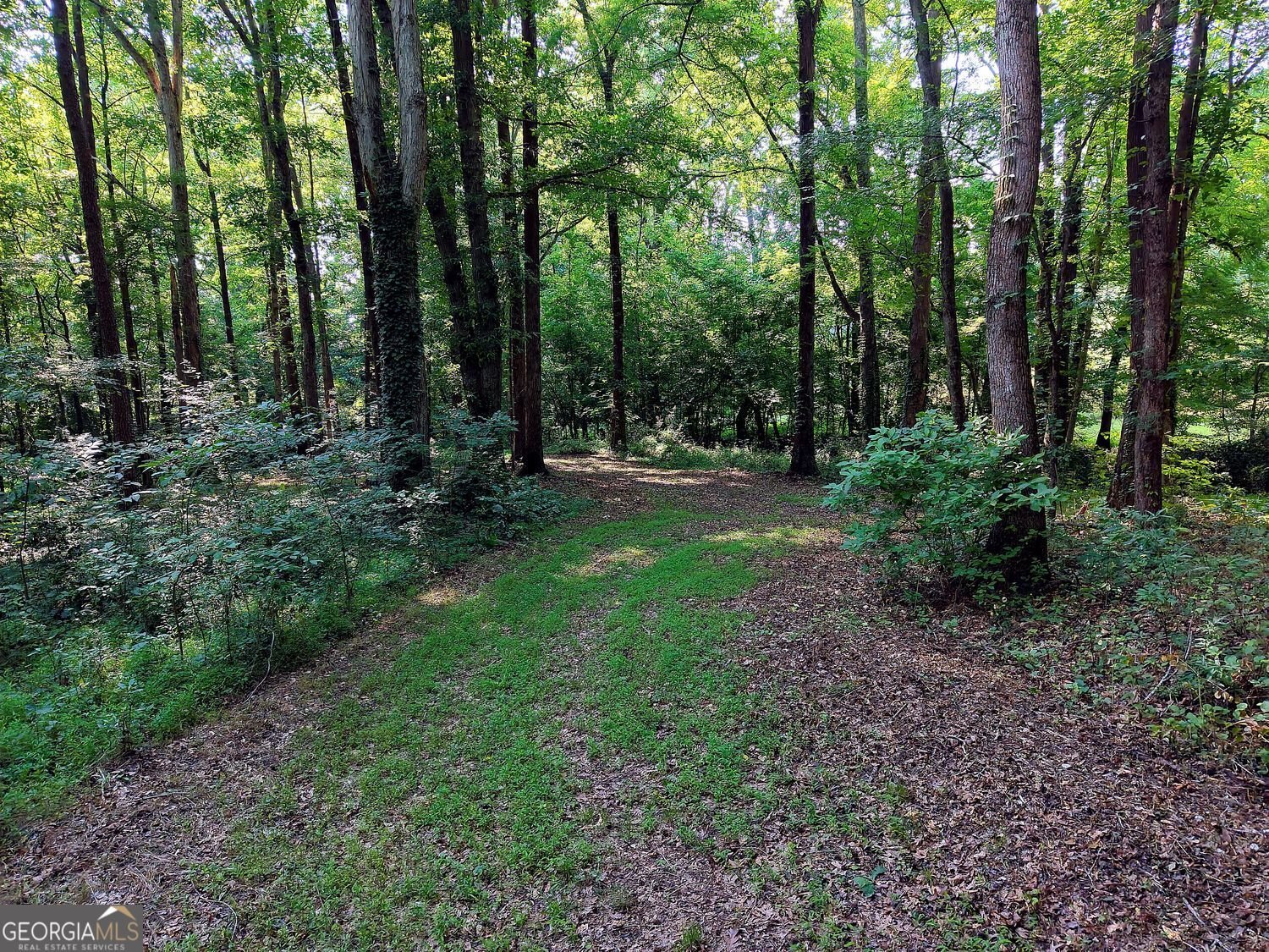 213 Blackstock Road Jefferson - Photo 24