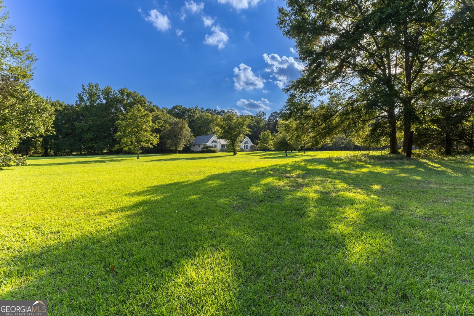 716 Snead Road Fayetteville - Photo 53