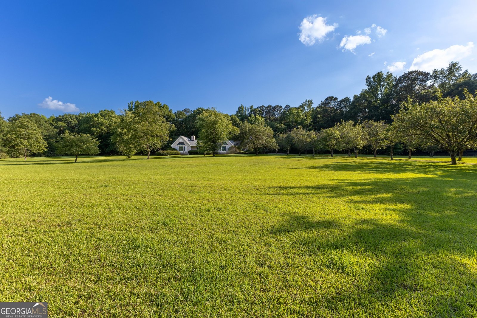 716 Snead Road Fayetteville - Photo 54