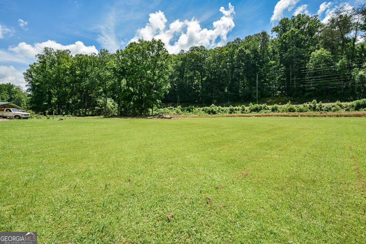 3518 Old Burnt Mountain Road Jasper - Photo 13