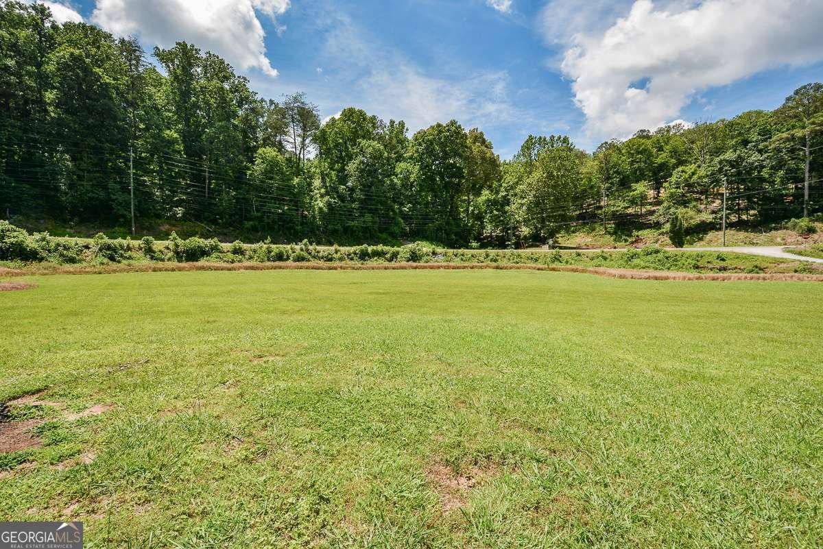 3518 Old Burnt Mountain Road Jasper - Photo 27
