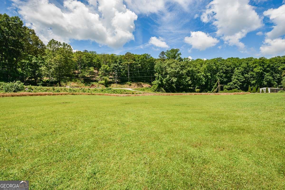 3518 Old Burnt Mountain Road Jasper - Photo 30