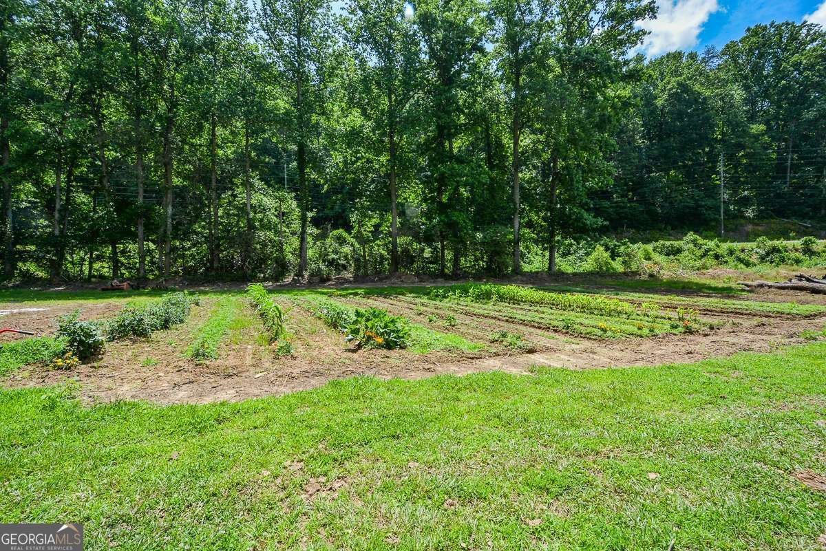 3518 Old Burnt Mountain Road Jasper - Photo 34