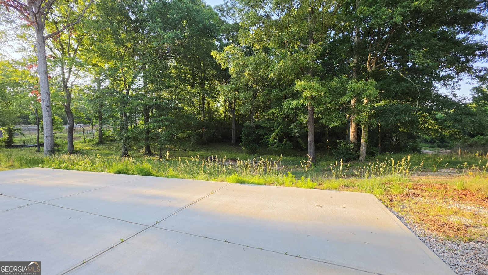 2061 Davenport Road Braselton - Photo 37