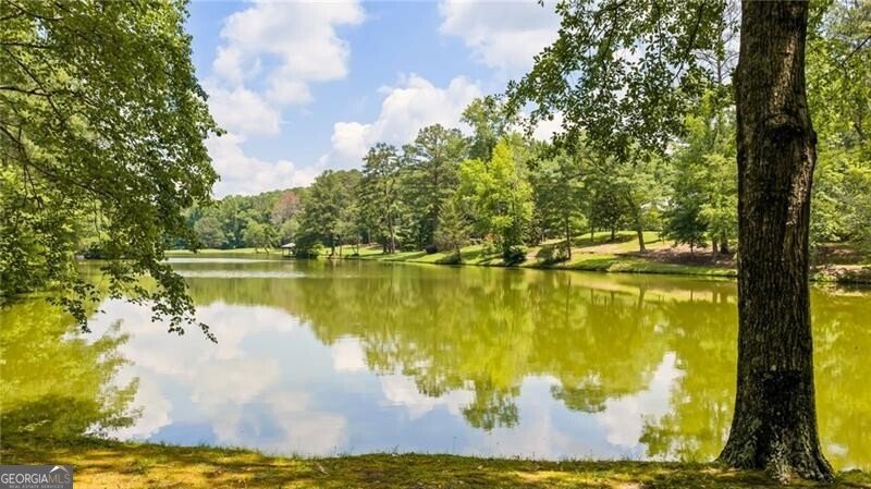 10180 Capps Ferry Road Chattahoochee Hills - Photo 60