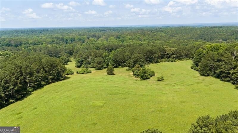 10180 Capps Ferry Road Chattahoochee Hills - Photo 67