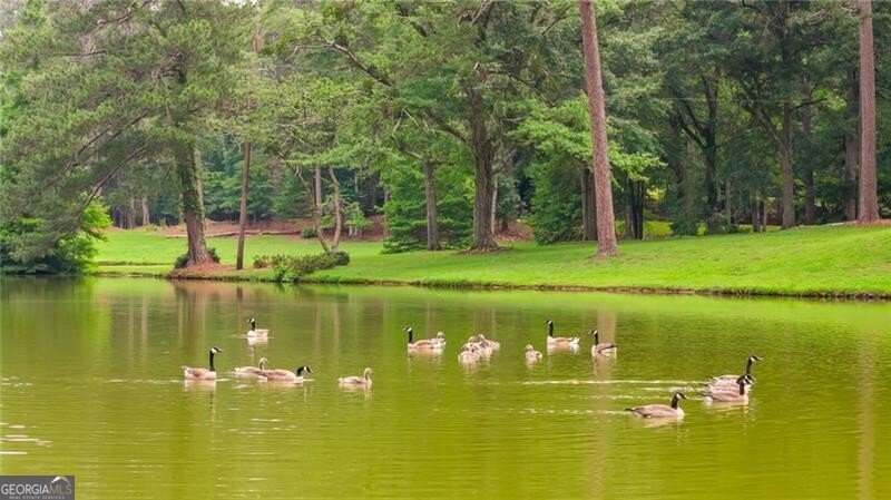 0 Capps Ferry Road Chattahoochee Hills - Photo 65
