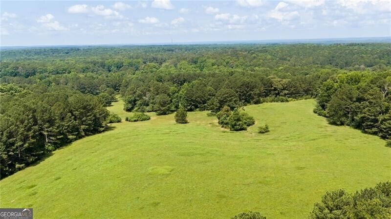 0 Capps Ferry Road Chattahoochee Hills - Photo 7