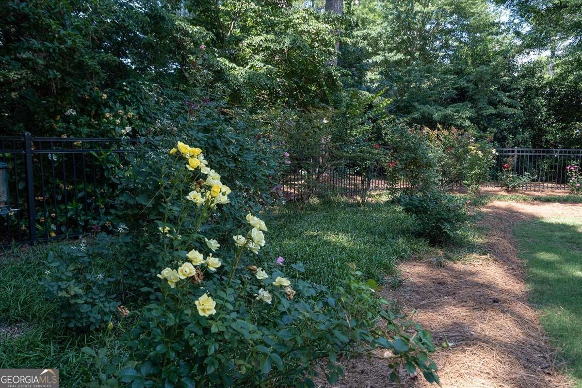 1071 Meriweather Drive Watkinsville - Photo 57