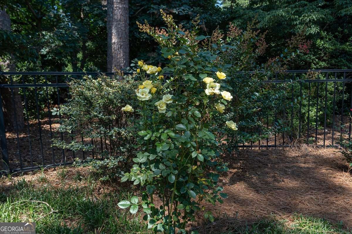 1071 Meriweather Drive Watkinsville - Photo 58