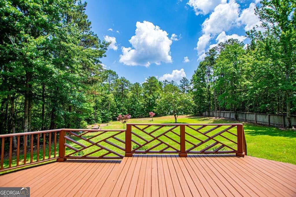 81 Castleman Road Carrollton - Photo 59