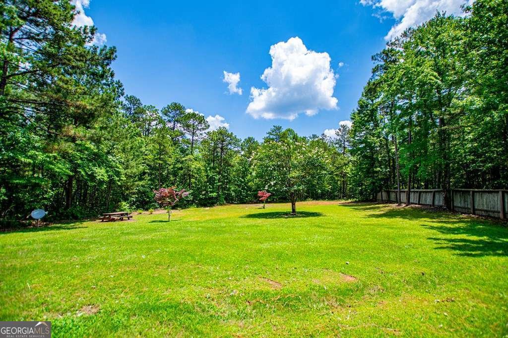 81 Castleman Road Carrollton - Photo 65
