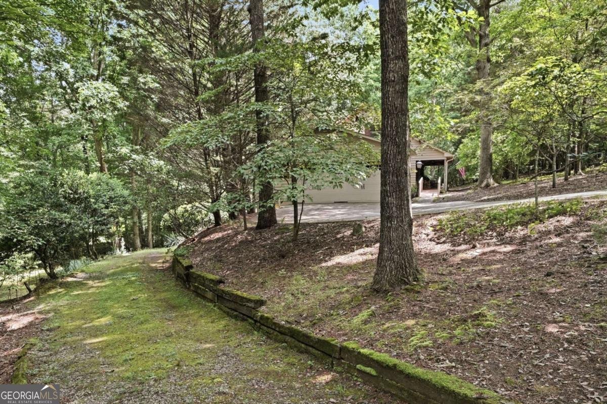 988 Woodland Sautee Nacoochee - Photo 57