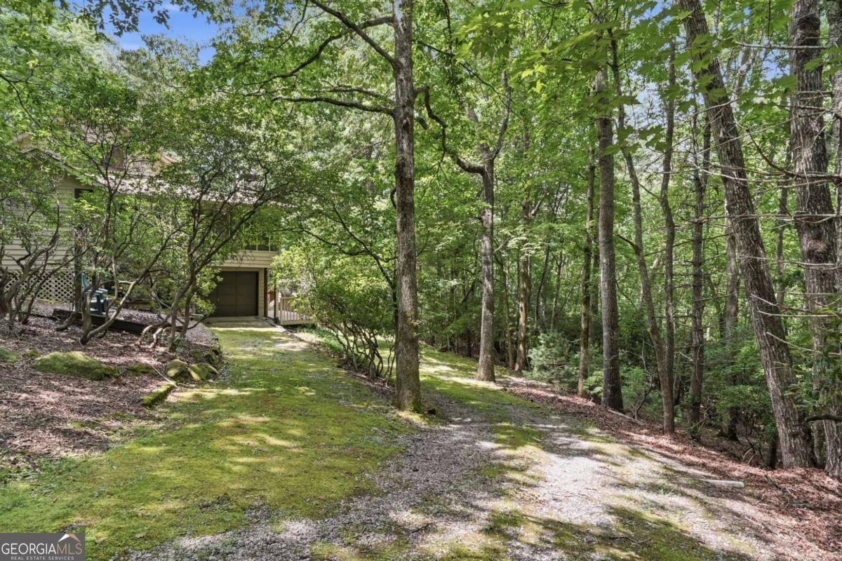 988 Woodland Sautee Nacoochee - Photo 60