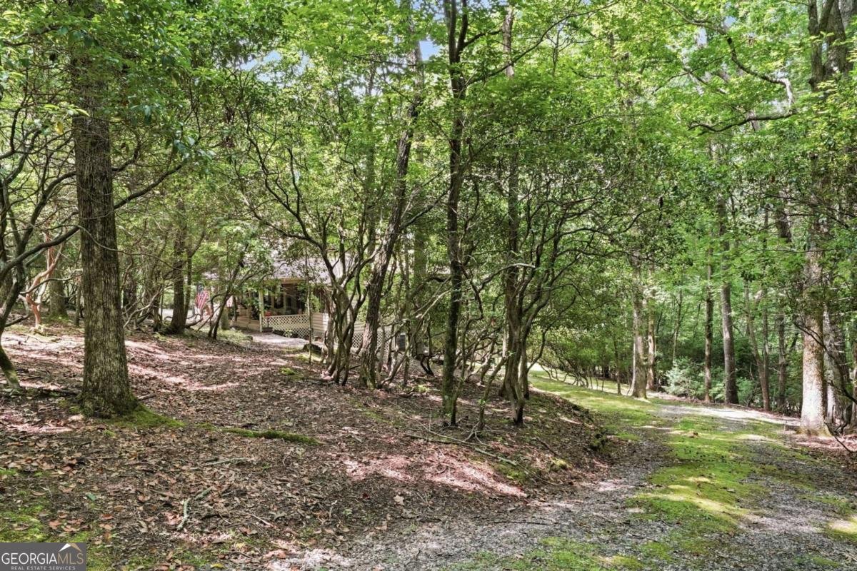 988 Woodland Sautee Nacoochee - Photo 61