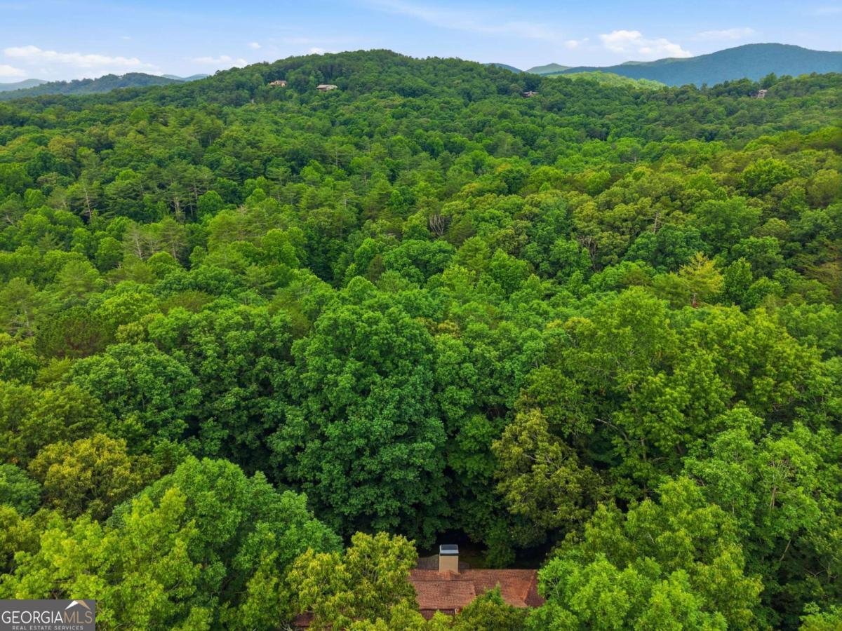 988 Woodland Sautee Nacoochee - Photo 63