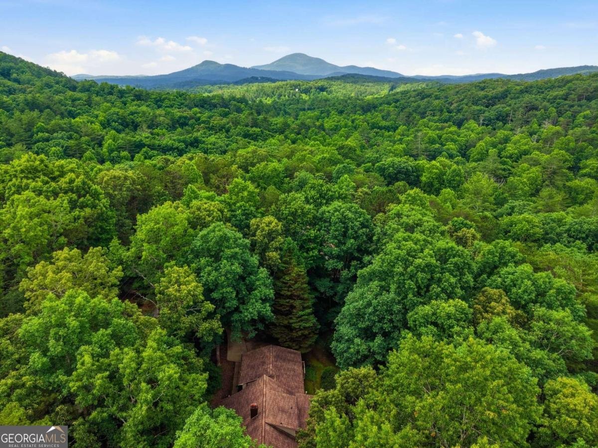 988 Woodland Sautee Nacoochee - Photo 64
