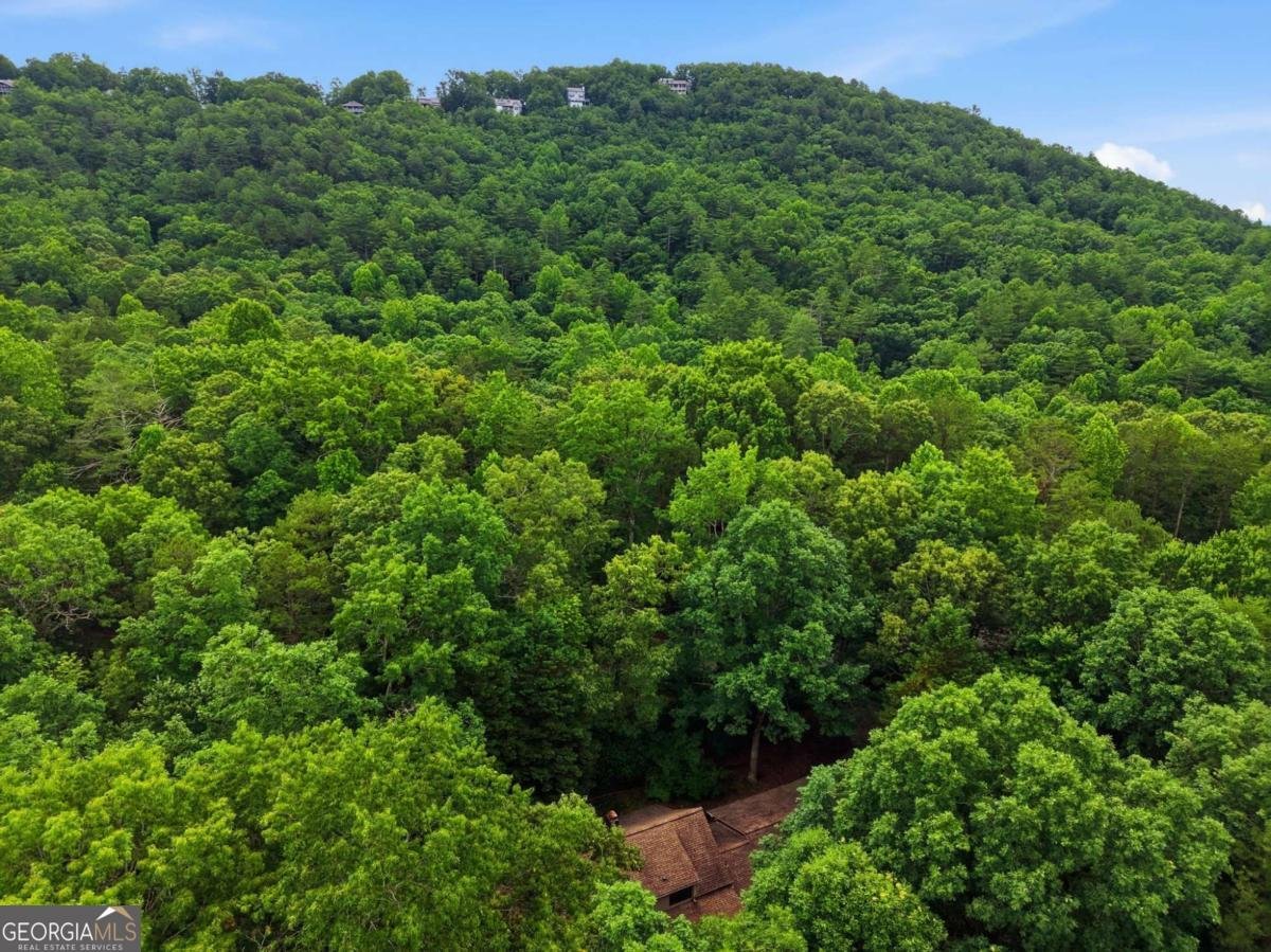 988 Woodland Sautee Nacoochee - Photo 65