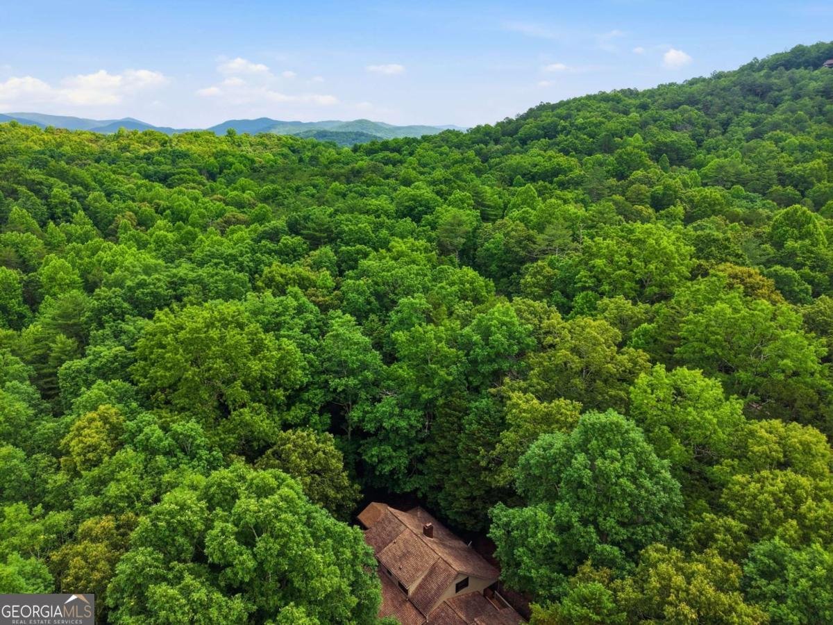 988 Woodland Sautee Nacoochee - Photo 66
