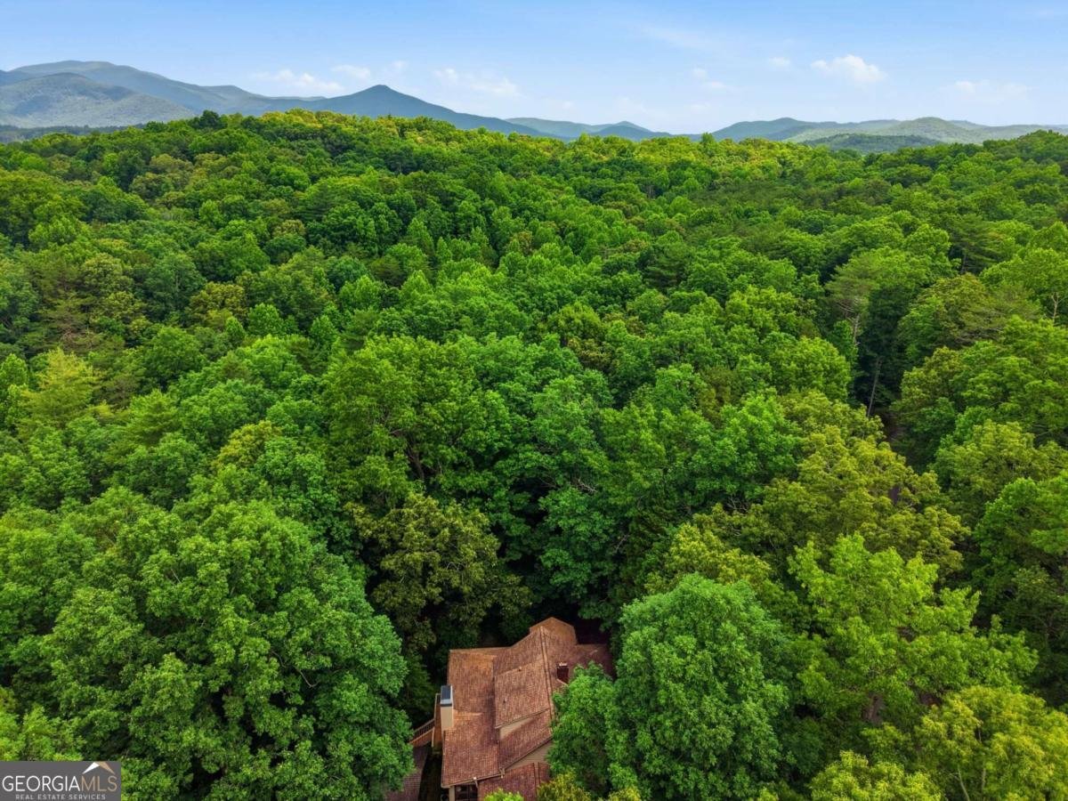 988 Woodland Sautee Nacoochee - Photo 67