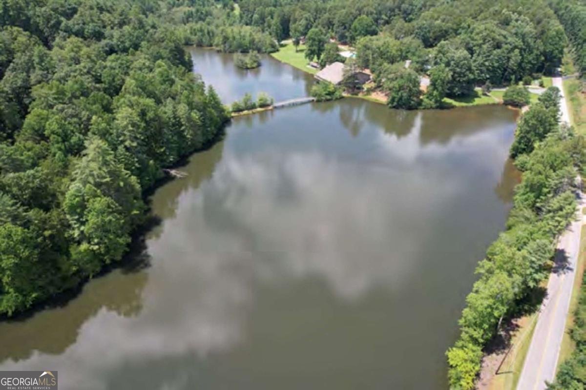 988 Woodland Sautee Nacoochee - Photo 78