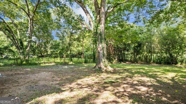 335 McLin Street Rome - Photo 19