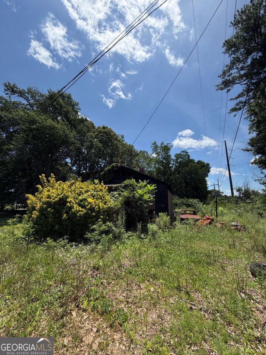 230 Greene Street Fairburn - Photo 6
