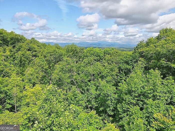 198 Sunrock Mountain Trace Blue Ridge - Photo 35