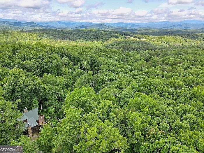 198 Sunrock Mountain Trace Blue Ridge - Photo 6