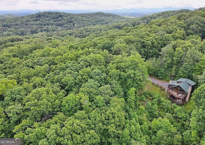 198 Sunrock Mountain Trace Blue Ridge - Photo 91