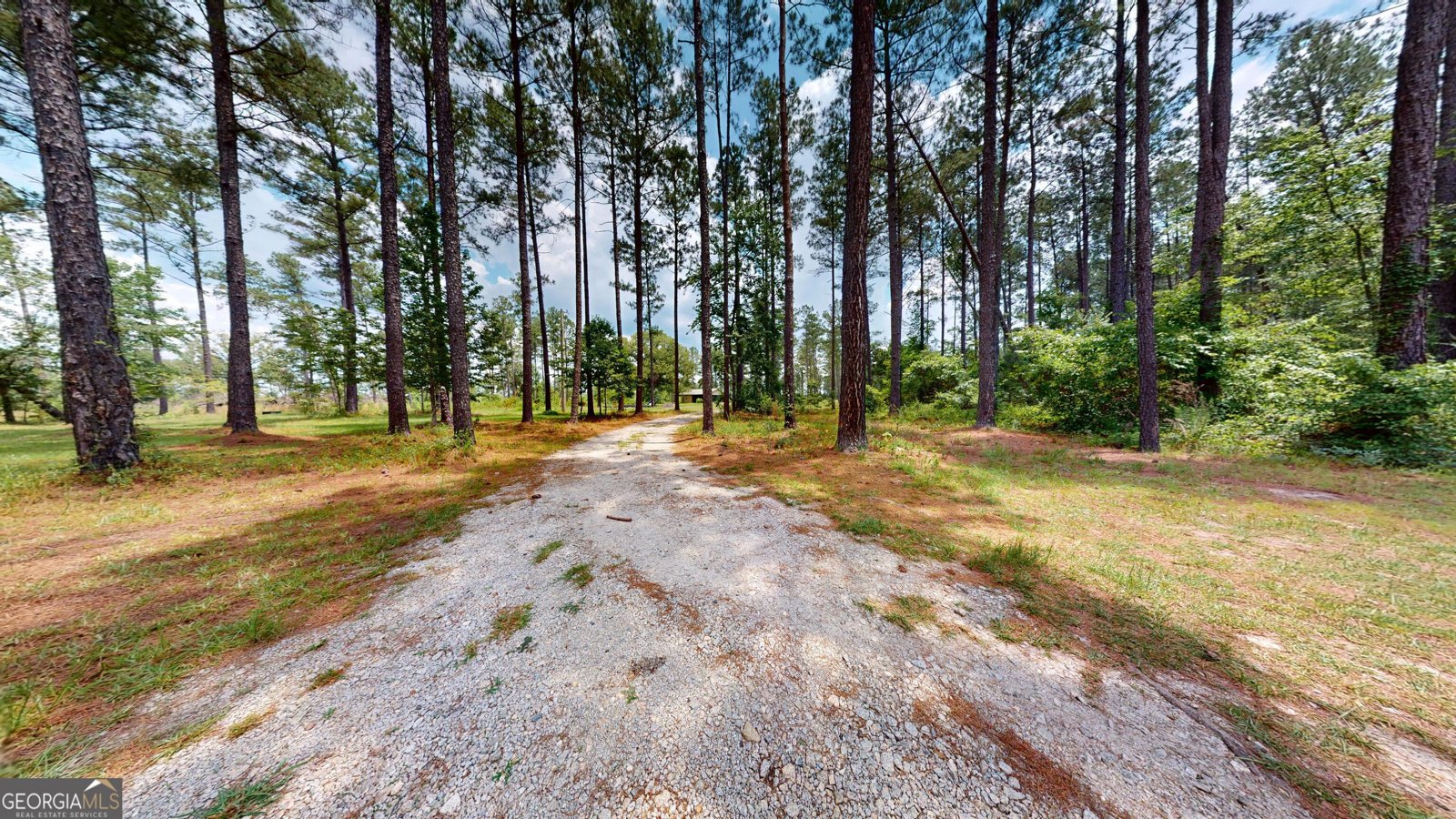 435 Canoochee Bypass Midville - Photo 55