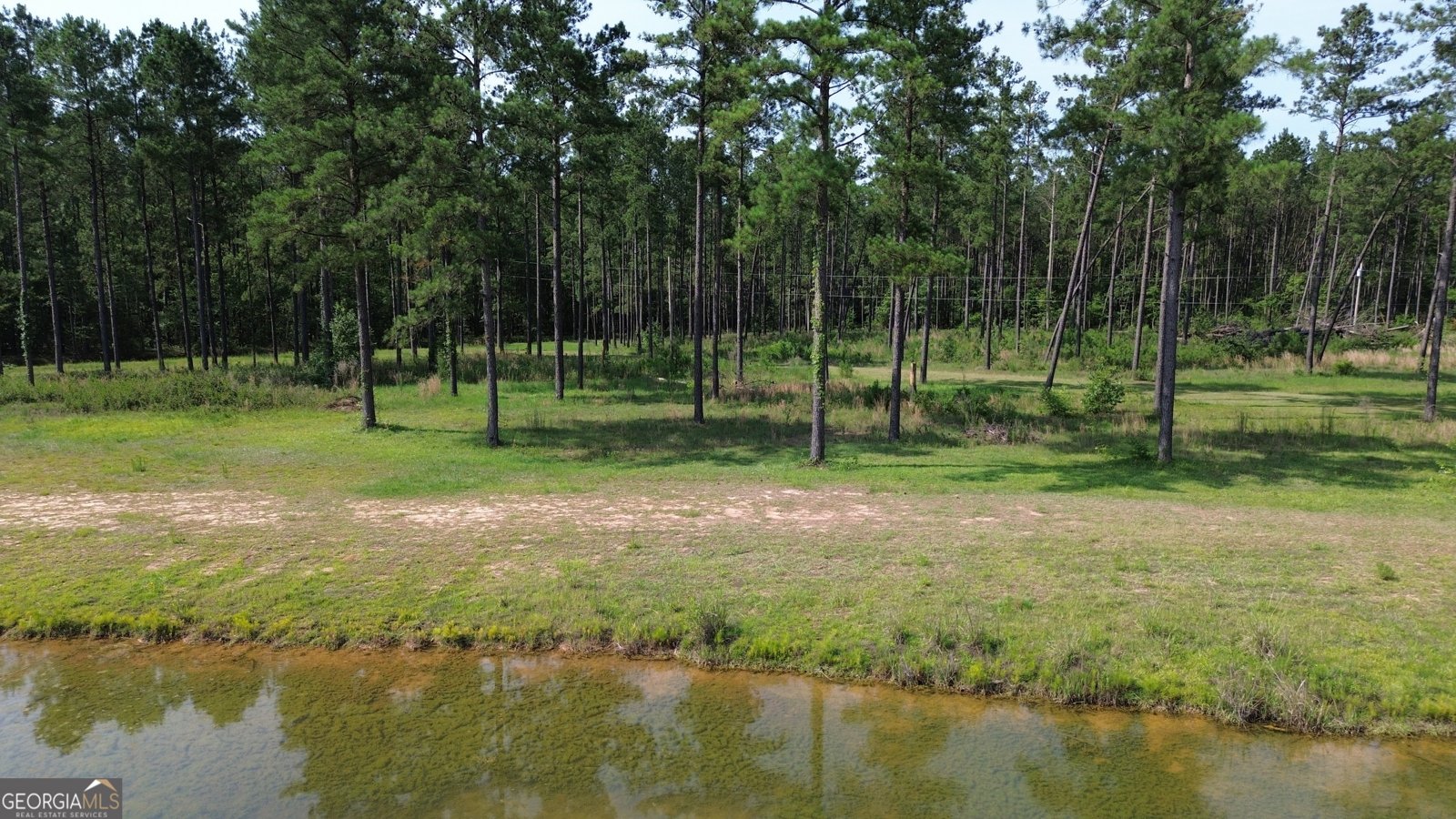 435 Canoochee Bypass Midville - Photo 58