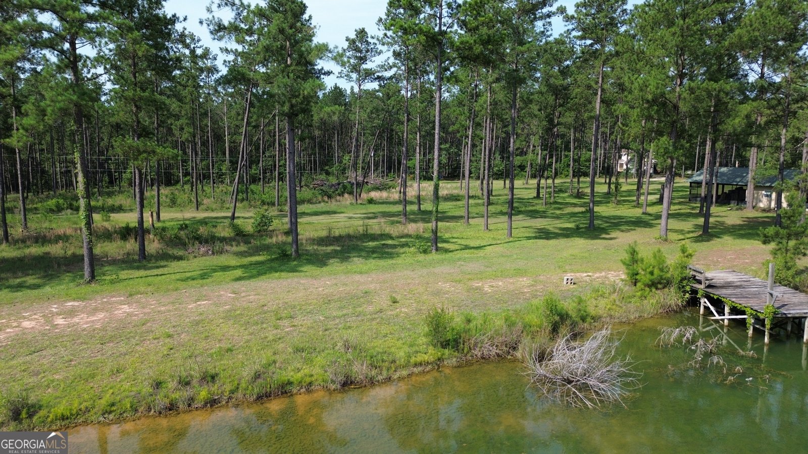 435 Canoochee Bypass Midville - Photo 59