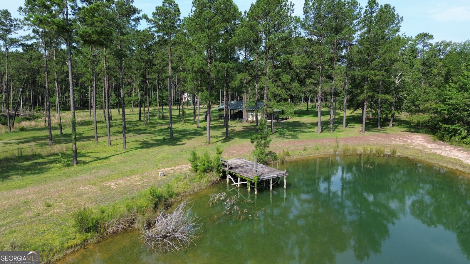 435 Canoochee Bypass Midville - Photo 61