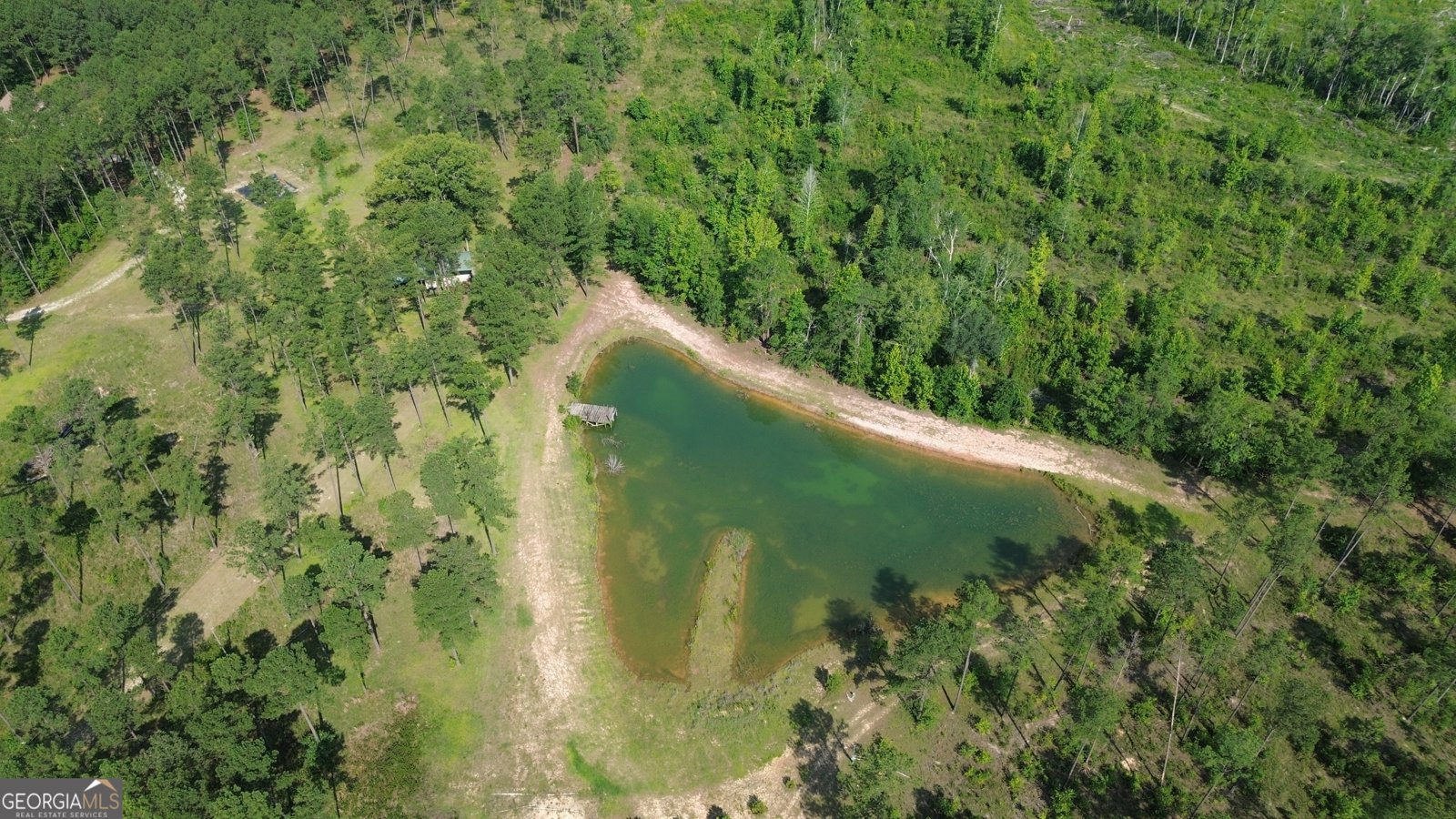 435 Canoochee Bypass Midville - Photo 64