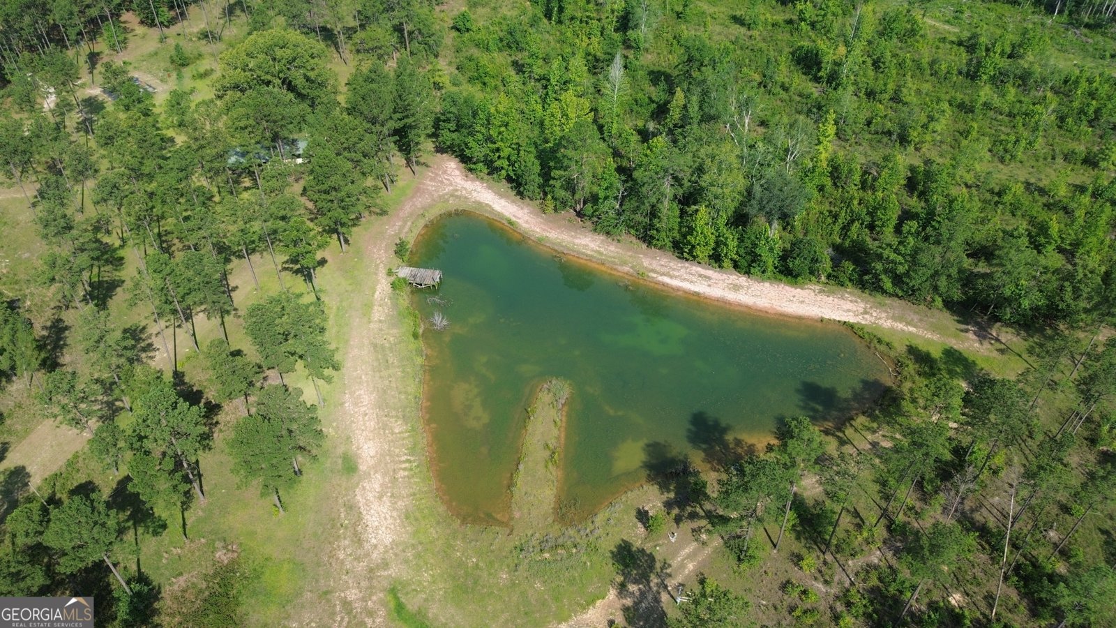 435 Canoochee Bypass Midville - Photo 65