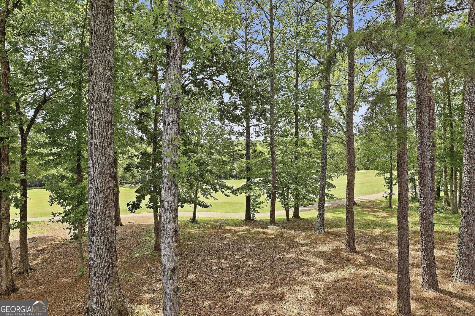 62 Greenview Drive Newnan - Photo 41